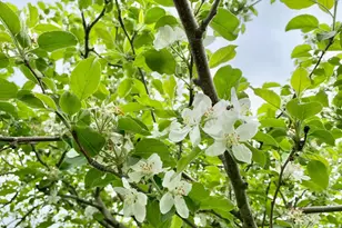 223 Plattekill Rd, Marlboro, NY 12542 - Photo 31