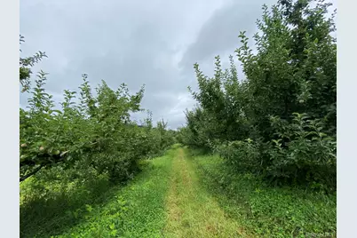 223 Plattekill Road, Marlboro, NY 12542 - Photo 23