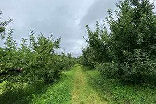 223 Plattekill Rd, Marlboro, NY 12542 - Photo 23