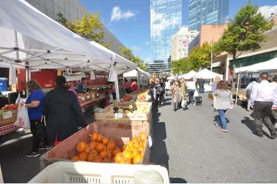 10 Old Mamaroneck Road #2A, White Plains, NY 10605 - Photo 35