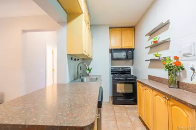 4 Maple Drive #6O, Great Neck, NY 11021 - Photo 9