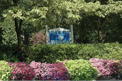 25 Midland Avenue, White Plains, NY 10606 - Photo 39