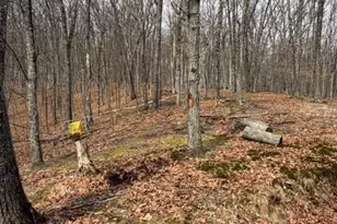 120 Swallow Ct, Bushkill, PA 18324 - Photo 7