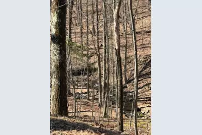 120 Swallow Court, Bushkill, PA 18324 - Photo 37