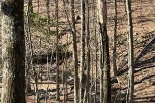 120 Swallow Ct, Bushkill, PA 18324 - Photo 37