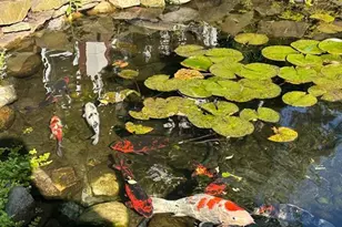 41 Westside Ave, Haverstraw, NY 10927 - Photo 31