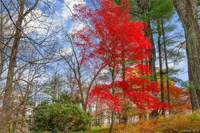 115 Old Roaring Brook Road, Mount Kisco, NY 10549 - Photo 19