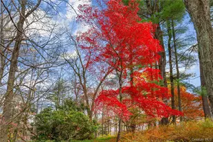 115 Old Roaring Brook Rd, Mount Kisco, NY 10549 - Photo 19