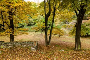 115 Old Roaring Brook Rd, Mount Kisco, NY 10549 - Photo 19