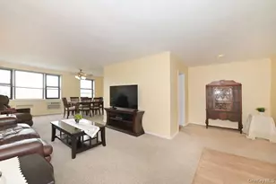 1 Birchwood Ct, Mineola, NY 11501 - Photo 3