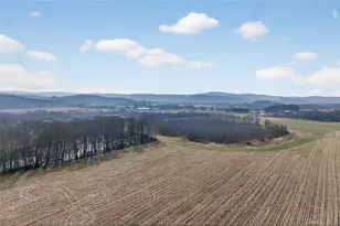 231 Lake Rd, Pine Plains, NY 12567 - Photo 27