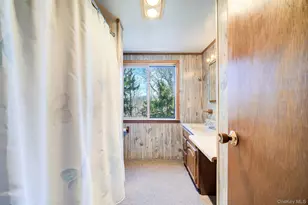 289 Shenandoah Rd, Hopewell Junction, NY 12533 - Photo 21