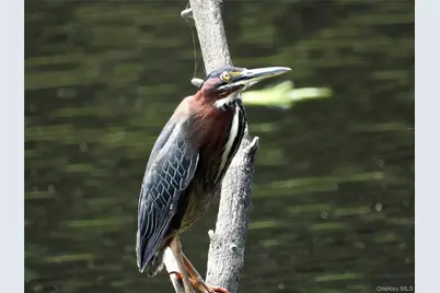 56 Beaver Brook Road, Yulan, NY 12792 - Photo 37