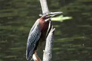 56 Beaver Brook Rd, Yulan, NY 12792 - Photo 37