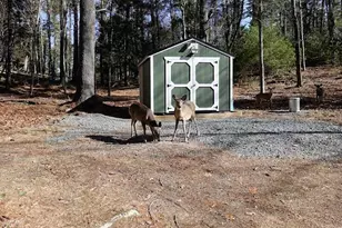 56 Beaver Brook Rd, Yulan, NY 12792 - Photo 31