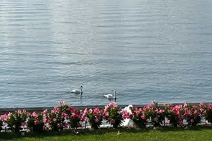 1400 Peconic Bay Blvd, Jamesport, NY 11947 - Photo 43