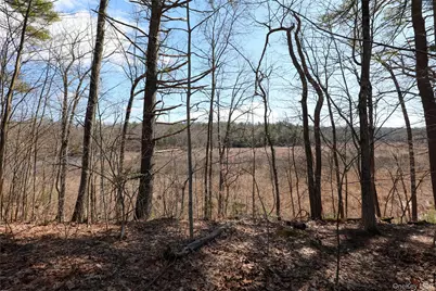 176 Lake Road, Lake Katrine, NY 12449 - Photo 5