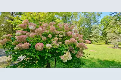15 Unity Lane, New Paltz, NY 12561 - Photo 39