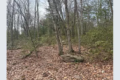 Bennett Road, Napanoch, NY 12458 - Photo 3