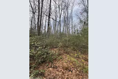 Bennett Road, Napanoch, NY 12458 - Photo 5