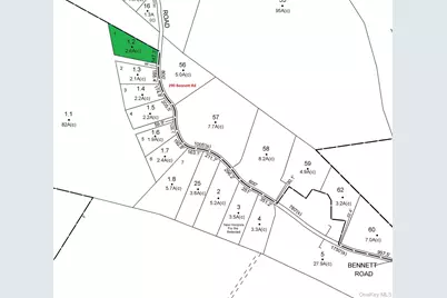 Bennett Road, Napanoch, NY 12458 - Photo 9
