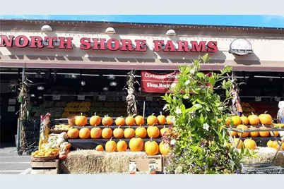 60-39 251st Street #2nd Fl, Little Neck, NY 11362 - Photo 31