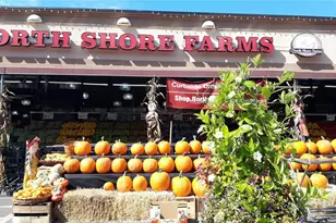 60-39 251st St, Little Neck, NY 11362 - Photo 31