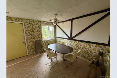 9 Lake Drive, Parksville, NY 12768 - Photo 7