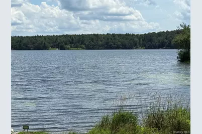 9 Lake Drive, Parksville, NY 12768 - Photo 29