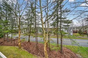 169 Treetop Cir, Nanuet, NY 10954 - Photo 33