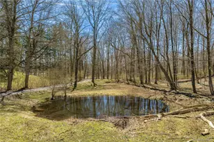 21-23 Tinker Town Rd, Dover Plains, NY 12522 - Photo 25