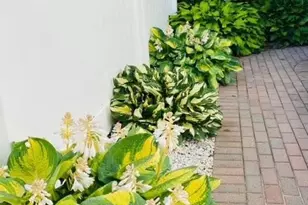 171 Pauline St, Holbrook, NY 11741 - Photo 13