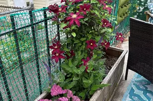 2 Alden Park, Bronx, NY 10465 - Photo 3