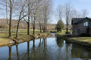 4098 Route 44, Millbrook, NY 12545 - Photo 41