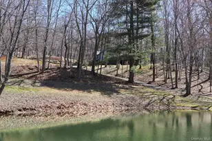 611 N Clove Rd, Millbrook, NY 12545 - Photo 37