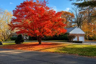 16 Carolyn Pl, Armonk, NY 10504 - Photo 29