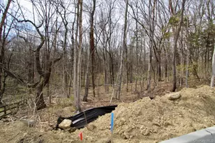 Lot 11 Lindenwood Ln, Newburgh, NY 12550 - Photo 13