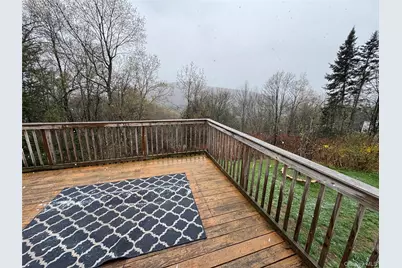 96 White Roe Lake Road, Livingston Manor, NY 12758 - Photo 13