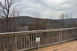96 White Roe Lake Rd, Livingston Manor, NY 12758 - Photo 29