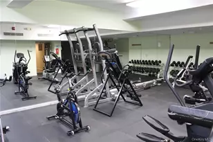 85 McKinley Ave, White Plains, NY 10606 - Photo 19