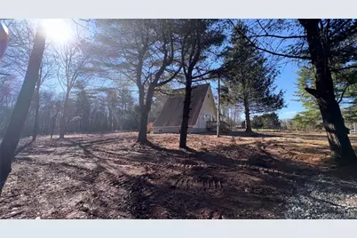 107 Pinewood Road, Cochecton Center, NY 12726 - Photo 5