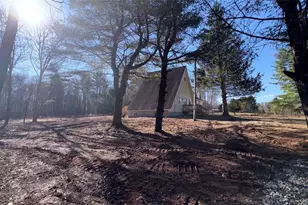 107 Pine Wood Rd, Cochecton Center, NY 12726 - Photo 5