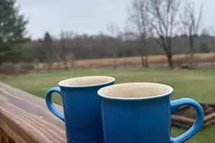 19 Tomel Rd, Cochecton Center, NY 12726 - Photo 21