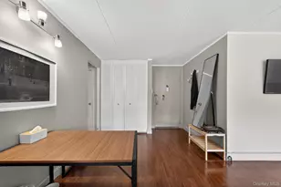 100 Clinton Ave, Mineola, NY 11501 - Photo 7