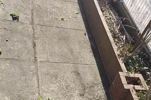 260 Swinton Ave, Bronx, NY 10465 - Photo 11