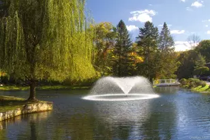 44 Route 25 A, Smithtown, NY 11787 - Photo 9