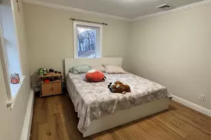 94 Lucille Ave, Elmont, NY 11003 - Photo 25