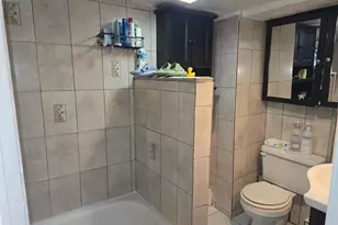 94 Lucille Ave, Elmont, NY 11003 - Photo 35