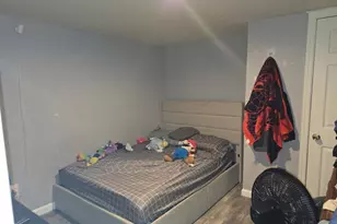 94 Lucille Ave, Elmont, NY 11003 - Photo 37