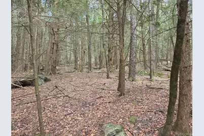 Tbd Bobwhite Trail, Mongaup Valley, NY 12762 - Photo 7